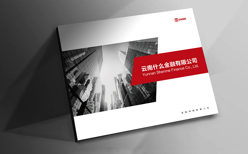 金融企業(yè)投資公司畫冊設計【什么金融】